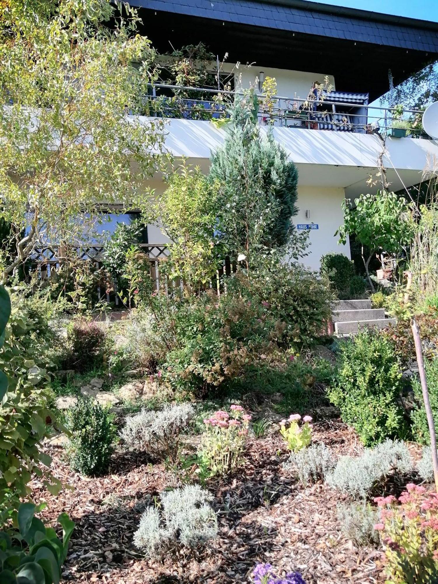 Haus Mohr - Ferienwohnung Im Taunus Weilmunster المظهر الخارجي الصورة